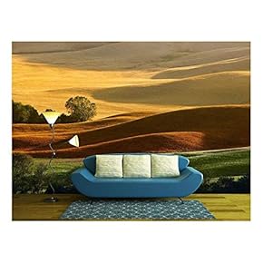 Countryside Landscape in Tuscany Region of Italy - Removable Wall Mural | Self-Adhesive Large Wallpaper - 66x96 inches
