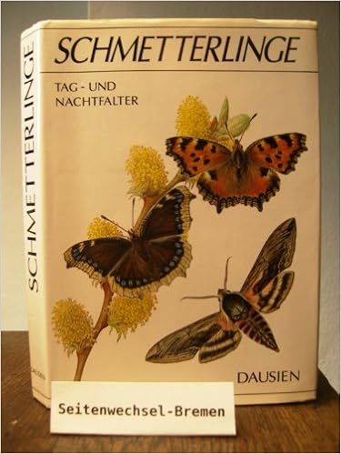 Schmetterlinge Tag Und Nachtfalter Amazon De Novak Dr Ivo Bucher