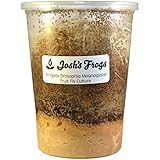 Josh's Frogs Wingless Drosophila Melanogaster Fruit Fly Cultures