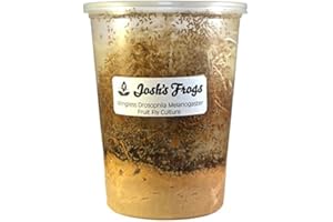 Josh's Frogs Producing Wingless Drosophila Melanogaster Fruit Fly Culture