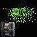 Homeleo 10M 100LED Battery Powered LED String Lights w/ Remote Mini Tiny LED Lamps on Flexible Thin Silver Wire Blinking Twinkle Steady On LED Starry Fairy Lighting(Remote,Green)