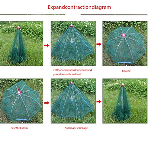 Zerama 4/6/8/12 Holes Automatic Fishing Net Shrimp Cage Nylon Foldable Crab Fish Trap Cast Network - Thumbnail 4