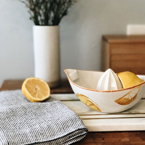 FLOOR | 9 Watercolor Citrus Ceramic Juicer