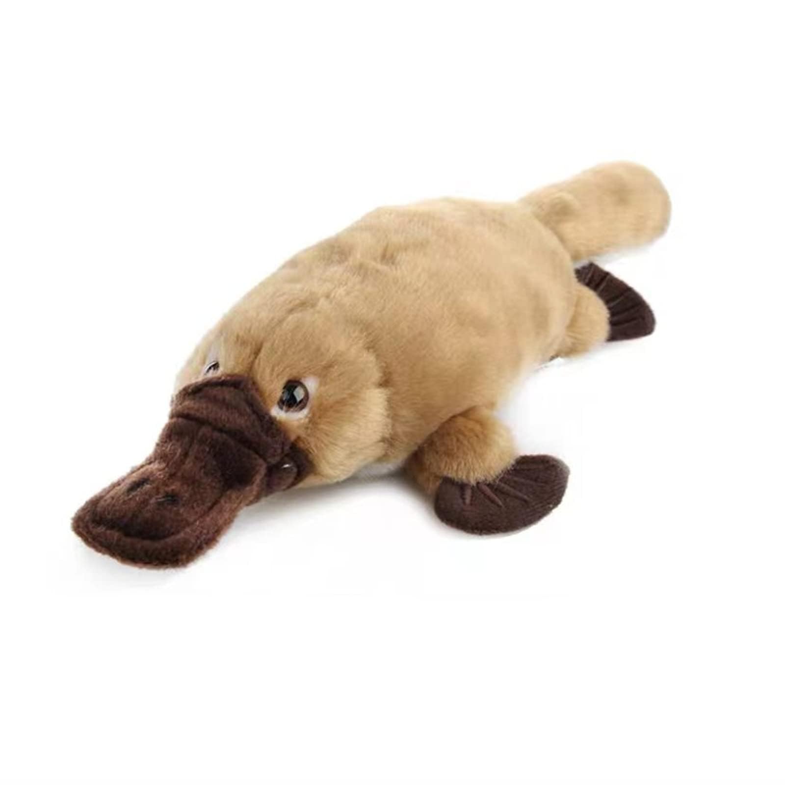 lilizzhoumax Platypus Plush Toy 35cm/14inch Cute Realistic Stuffed Animal Wildlife Collection Platypus Plush Toy Super Soft Duck Billed toy Home Decoration Gift for Kids Boys Girls