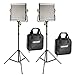 Neewer 2 Packs Dimmable Bi-Color 480 LED Video Light and Stand Lighting Kit Includes: 3200-5600K CRI 96+ LED Panel with U Bracket, 75 inches Light Stand for YouTube Studio Photography, Video Shooting primary