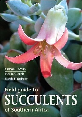 Field Guide To Succulents In Southern Africa Field Guides - 
