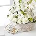 MyGift Vintage Brass & Glass Decorative Jewelry Box, Plant Terrarium Display with Lid