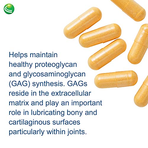 Nutra BioGenesis ArthroGenx Turmeric, Ginger and MSM to Help