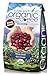 Subtle Earth Organic Coffee - Dark Roast - Whole Bean Coffee - 100% Arabica Beans - Low Acidity and Non-GMO - 5lb bag