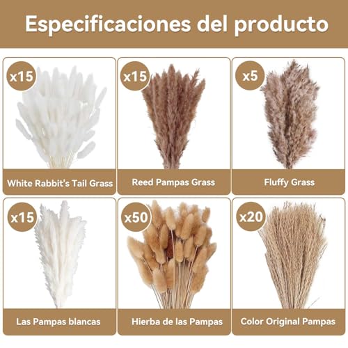 120PCS Decoración de Hierba de Pampas Secas Naturales,Colas de Conejo de Hierba Natural de la Pampa,Decoraciones de Hierba de Pampa Seca,Ramo de Hierba Carrizo para Sala de Estar,Cocina,Boda,Fiestas