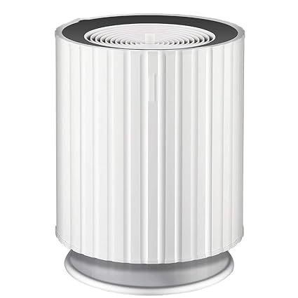 Humidité De Lair Pas De Brouillard Maison Chambre Muette