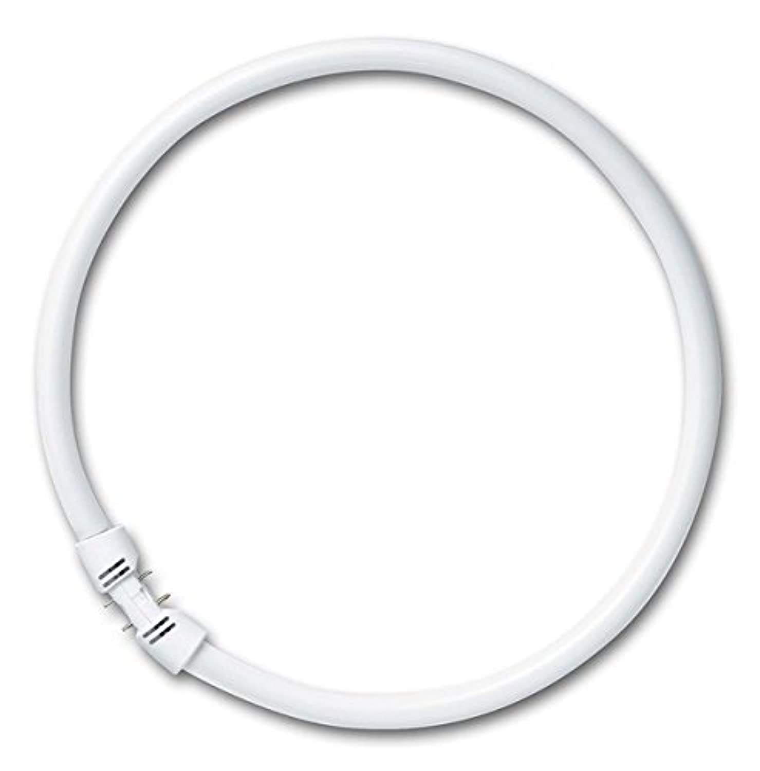 Osram 40 Watt Lumilux T5 Fluorescent Lamp Sockets