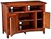 Signature Design by Ashley Cross Island TV Stand Medium Brown
