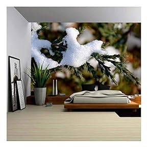 Detail of Snow on Tree Branch - Removable Wall Mural | Self-Adhesive Large Wallpaper - 66x96 inches