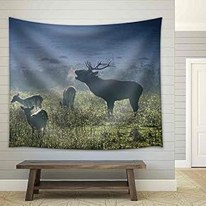 Deer with Herd Roaring on The Meadow at Sunrise - Fabric Wall Tapestry Home Decor - 51x60 inches