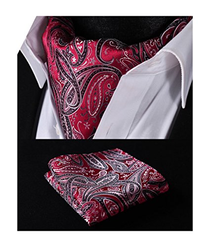 HISDERN Men's Paisley Jacquard Woven Self Cravat Tie Ascot Set One Size Red / Gray / Black