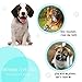 Chongai Dog Toys 9 Pack Gift Set Ball Rope Chew Squeaky Toys for Small Dog