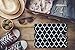 Brelox Jewelry Travel Organizer Case Bag Holder - Jewelry Storage Carrying Cases for Earrings, Necklaces, Rings, Bracelets (Black/white)