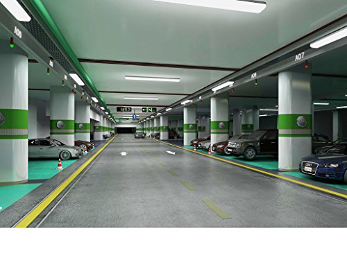 6 garages+Daylight+Ceiling+Wrapround+Worklight