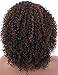 Kalyss Brown Highlights Afro Kinky Curly Wigs for Black Women Premium Synthetic Hair Wig Curved Part Natural Looking Hair Wigs for Women Daily Wear Hairpiece
