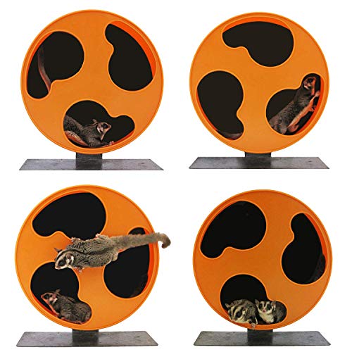 Silent Runner 12" Regular Wheel + Cage Attachment Sugar Gliders