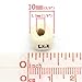 Alphabet Letter Spacer Beads, Larger 10mm x 10mm (3/8), 190 Pc Wooden Cube Letters