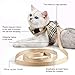 Unihubys Cat Harness with Leash Set- Adjustable Soft Mesh Material with Strong D-Ring for Peace of Mind, Great for Walking (M, Beige)