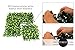 Artificial Hedge - Outdoor Artificial Plant - Great Boxwood and Ivy Substitute - Sound Diffuser Privacy Fence Hedge - Topiary Gardenia Greenery Panels (12, Gardenia)
