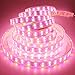 LEDENET 16.4FT Double Row RGB+Warm White 5050 LED Strip Lights 24V 600LEDs Waterproof in Silicone sleeving IP67
