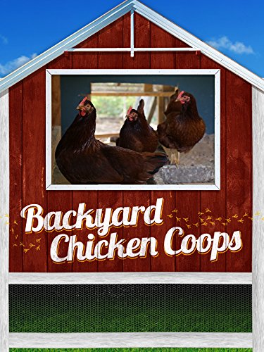 Backyard Chicken Coops