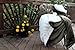 Tache Green and White Super Soft Sherpa Evergreen Micro Fleece Throw Blanket 50