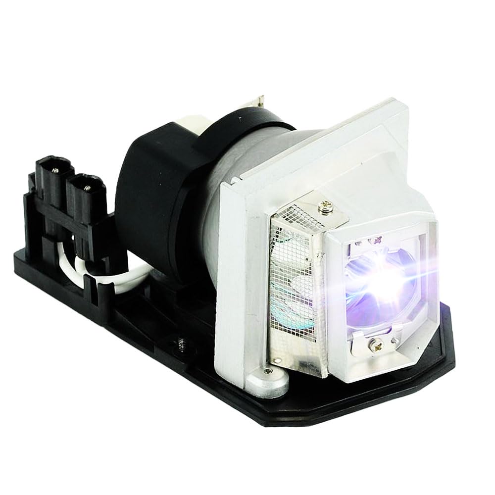 iReijomoi Replacement Lamp EC.K0700.001 Bulb with Housing for ACER H5360/H5360BD/V700 Projectors