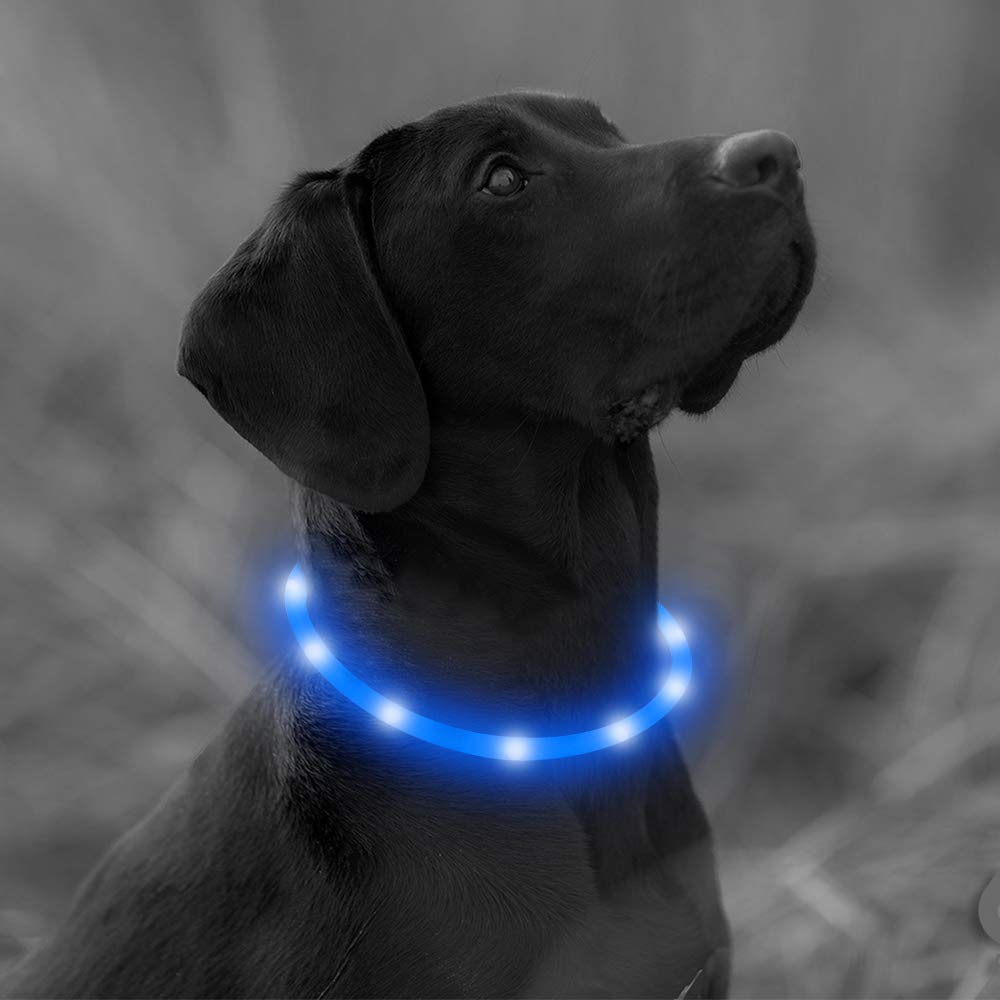 Clan_X LED Dog Collar, USB Rechargeable Silicone Glowing Pet Collar for Dogs, Light Up Doggy Collars Keep Your Dogs Be Seen& Be Safe (Blue-Silicone)