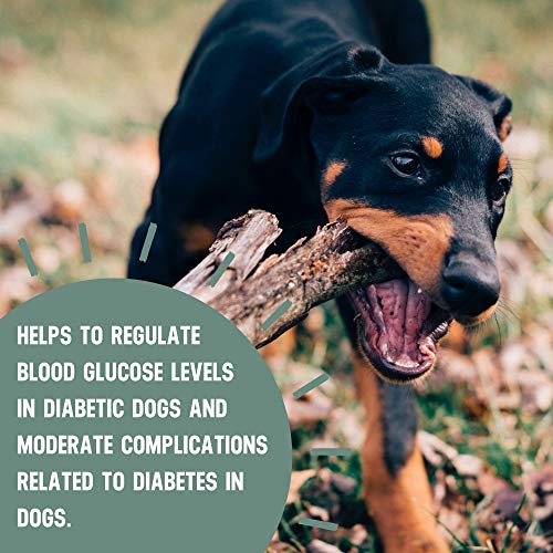 buddy and lola happy tummy