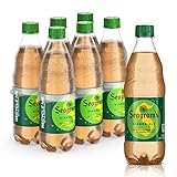 Seagrams Ginger Soda Soft Drinks, 16.9 fl oz, 6 Pack
