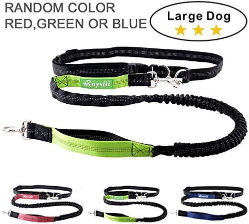 Roysili Hands Free Dog Leash, Premium Dual Handle Running Dog Leash, Lightweight Reflective Bungee Dog Leash for Medium and Large Dogs (Mediume &amp; Large Dog(30lbs-100lbs), Green)