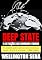 Livro DEEP STATE: e as facções que dominam o mundo