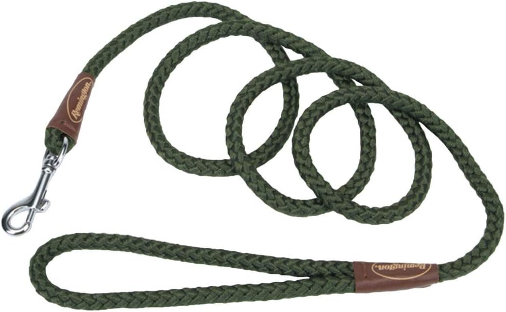 Green rope leash Clearance