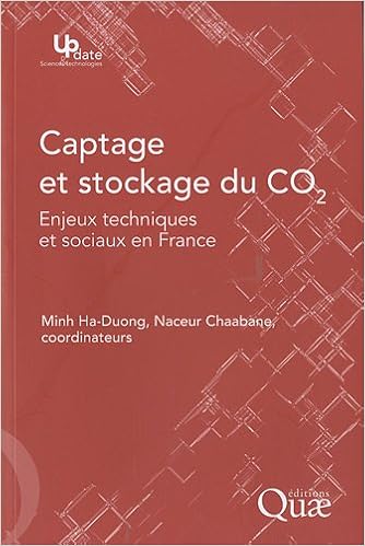Amazonin Buy Le Captage Et Le Stockage Du Co2 Enjeux - 
