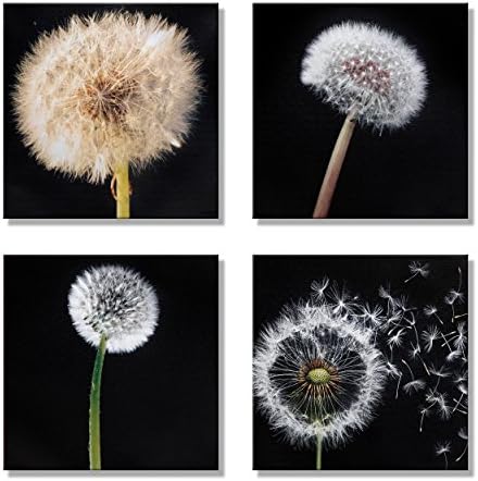 Canvas Prints - Nature Flowers Dandelions Prints On Canvas Framed Artwork For Home Modern Decoration Print (12x12inchx4pcs)