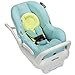 Maxi Cosi Mico Max Special Edition Infant Car Seat, Triangle Flow