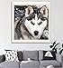 Fairylove 30×30 Diamond Painting Kit Dogs Full Drill Paint with Diamonds Dotz Kit for Fun Diamond Cross Stitch Kits Embroidery Art Crafts,Husky in The Snow Day
