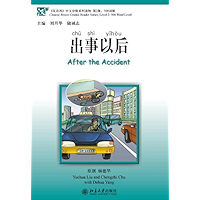 Chinese Breeze - After the Accident (Chinese Edition) book cover