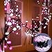 Quntis Cluster Christmas String Lights Pink &White, 400 LED 8 Twinkle Modes 13FT Globe Fairy Lights for Xmas Tree Bedroom Indoor Outdoor Valentine Wedding Holiday (Plug in, Connectable, Waterproof)