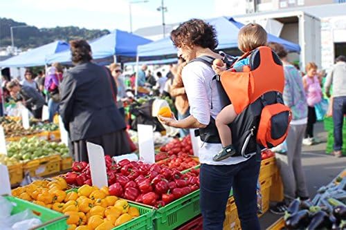 phil and teds parade baby carrier