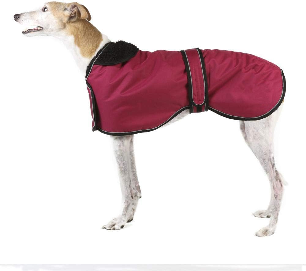 fish tanks for sale online