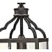 Westinghouse 6359300 Cardinal One-Light, Oil Rubbed Bronze Finish with Highlights and Clear Seeded Glass Outdoor Pendant, Black