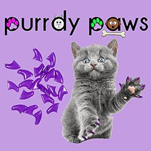 purple paws cat