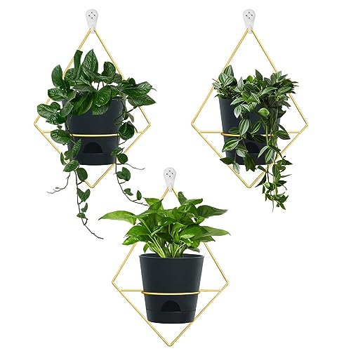 Koalaime 3 Sets Wall Planters