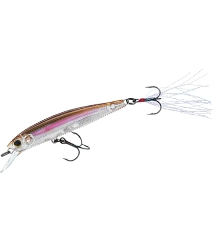 Amazon.com : Yo-Zuri R1438-PSBL: 3Dr-X Shad (Sp) 60Mm 2-3/8